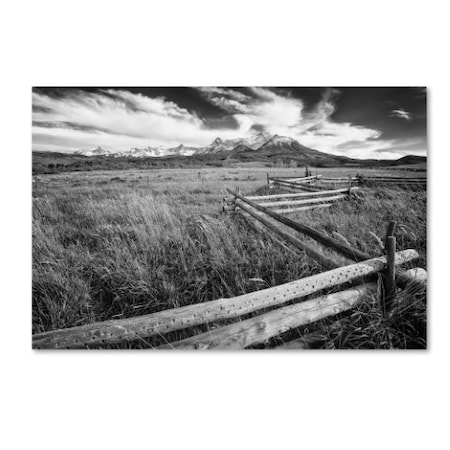 Trademark Fine Art Dan Ballard 'Cowboy Partner' Canvas Art, 30x47 ALI8067-C3047GG